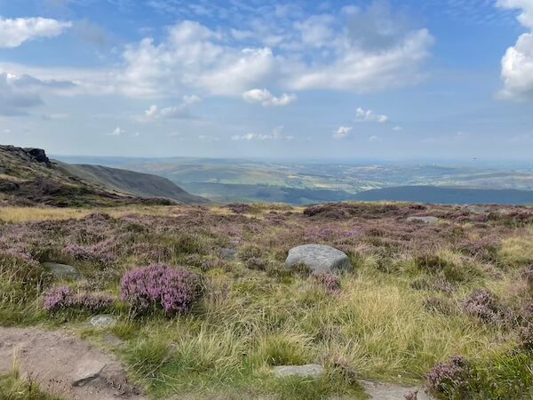 Looking out over the edge of Kinder Scout. Pink-purple heather in the foreground. Blue sky and white clouds above. Rolling green-yellow hills in the distance.